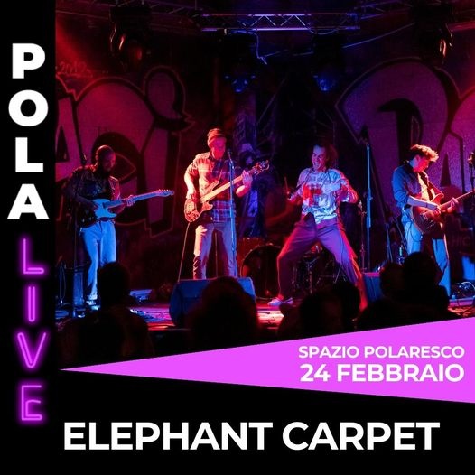 Elephant Carpet