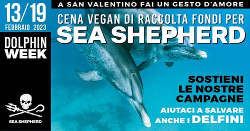Giornata Mondiale dell’Amore… per i Delfini 2023