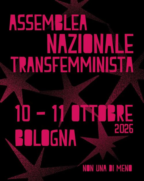 Assemblea nazionale transfemminista