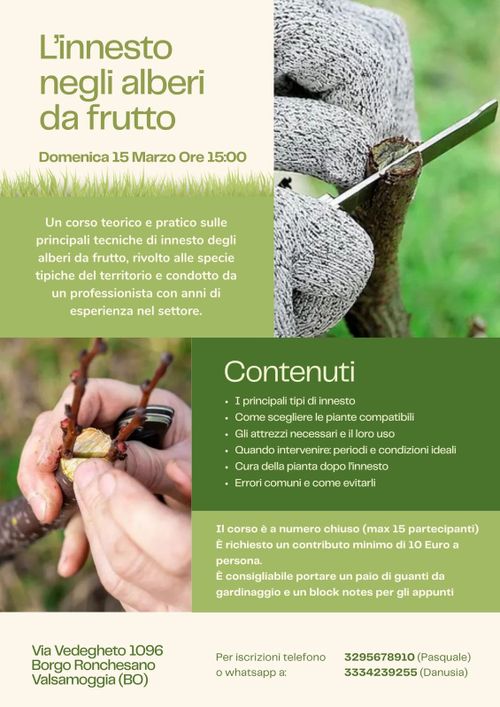 Dagli innesti all'albero da frutto