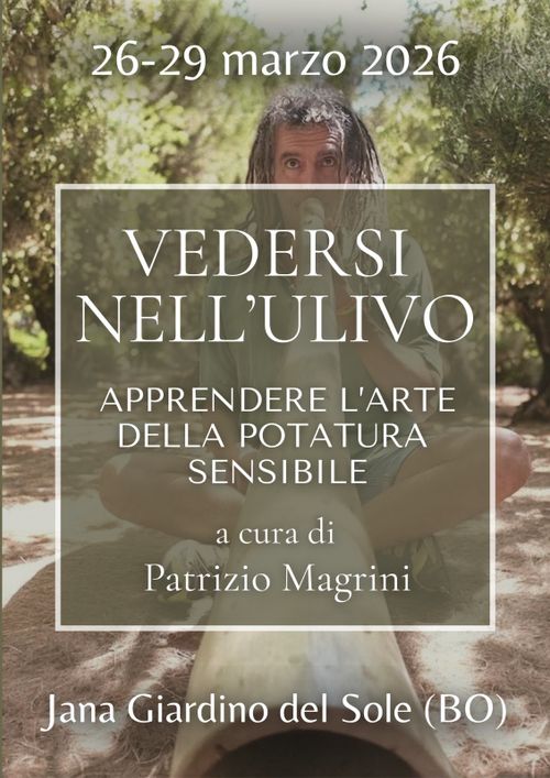 Vedersi nell'ulivo - Potatura sensibile