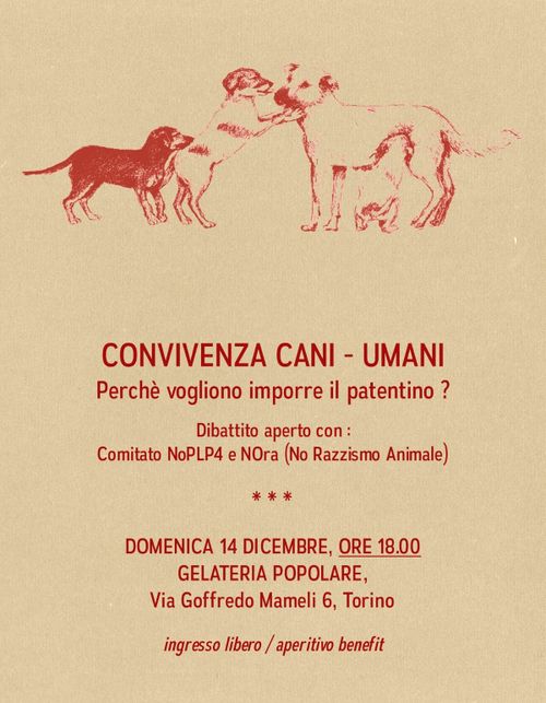 CONVIVENZA CANI-UMANI: DIBATTITO APERTO CON COMITATO NO PLP4 E NORA (no razzismo animale)