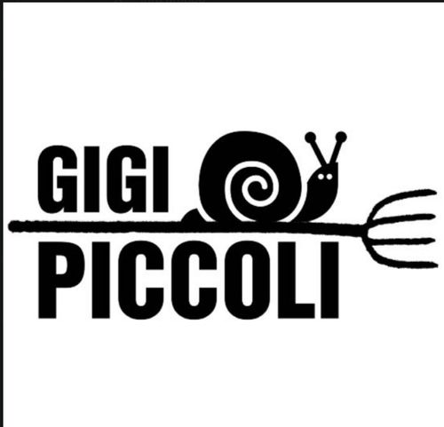 Domenica al Piccoli!