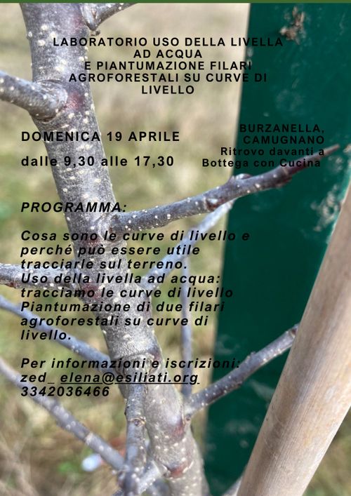 Lab uso livella ad acqua ed agroforestazione su curve di livello