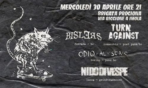 Concerto punk-hc