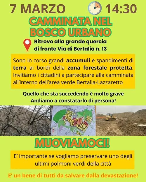 Camminata nel bosco urbano