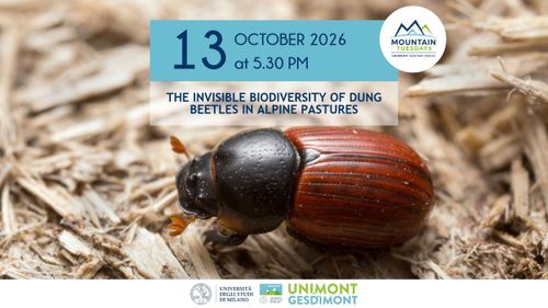 The invisible biodiversity of dung beetles in Alpine pastures (EN)