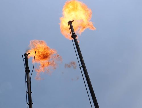 Chi racconta l'Amazzonia?