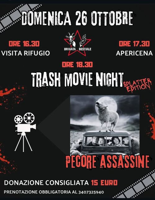 Movie Night