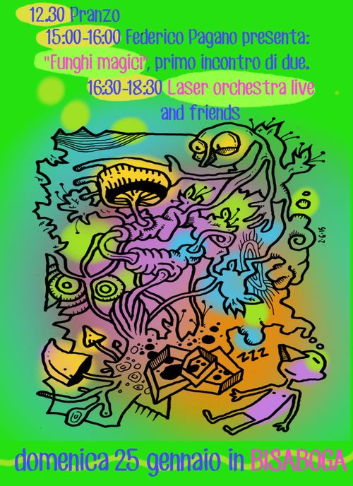 Funghi magici e Laser Orchestra