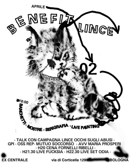 Benefit Lince