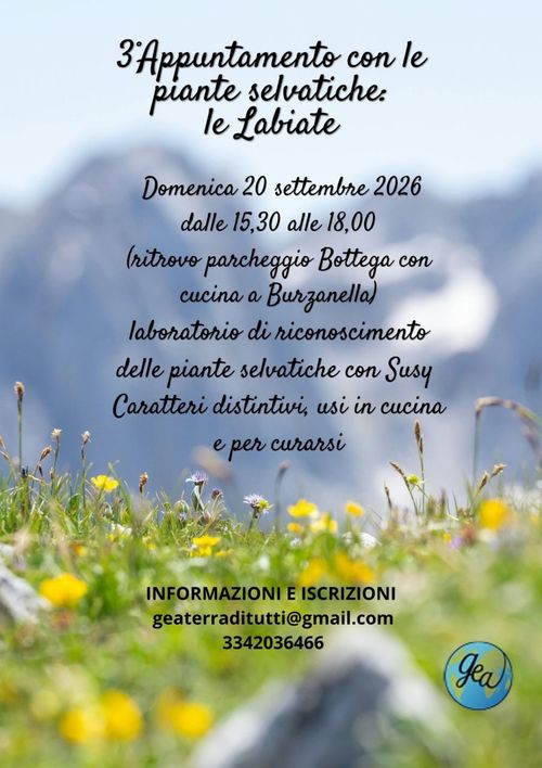 Riconoscimento piante selvatiche: Le labiate!