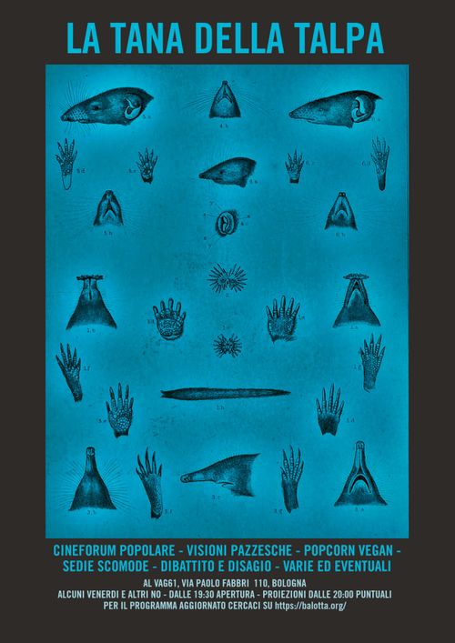 la Tana della Talpa - EDIZIONE del GIOVEDÌ