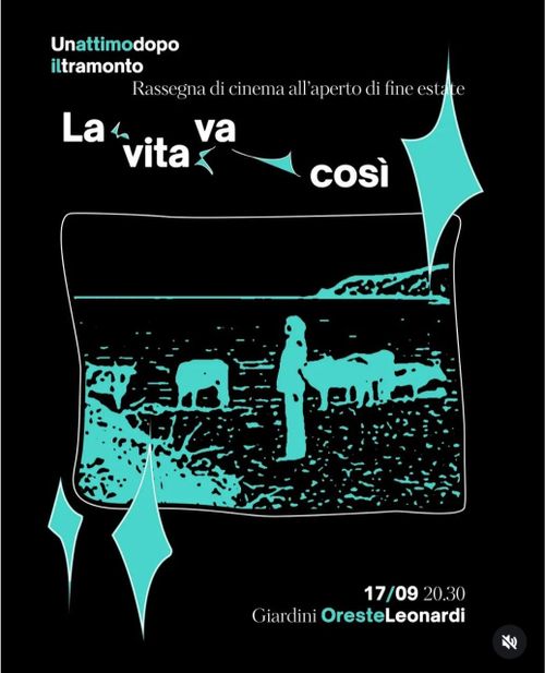 Proiezione la vita va così 