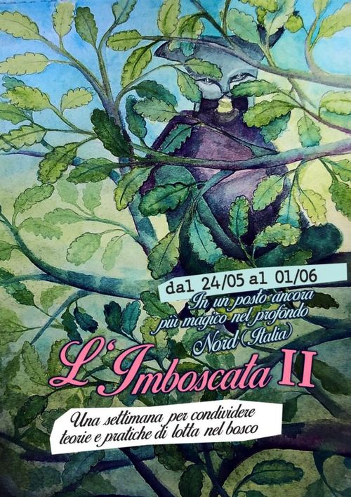 Imboscata II 🐿️